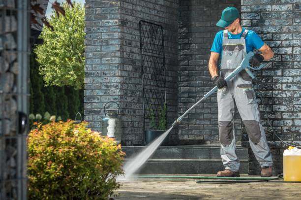 Best Graffiti Removal  in Hutchins, TX
