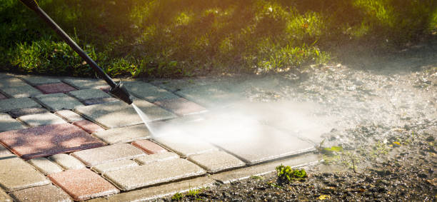 Best Solar Panel Cleaning  in Hutchins, TX